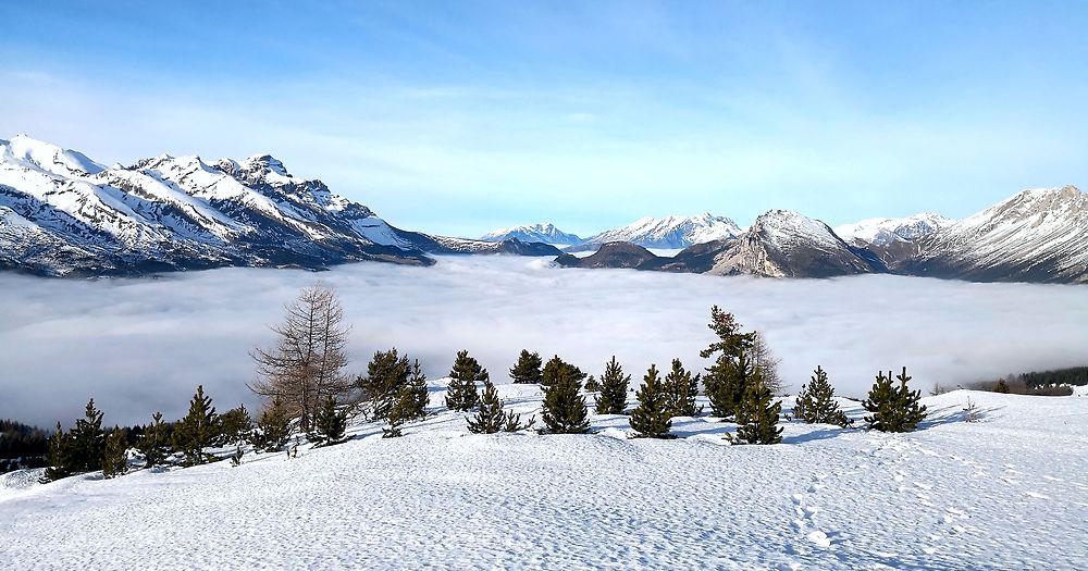 Brume à La Joue-du-Loup