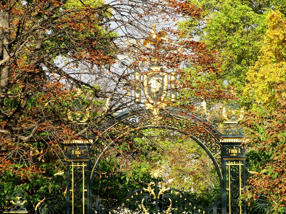 Palais de l'Elysée en automne