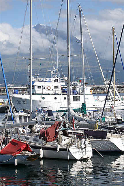 Port de Horta et volcan Pico