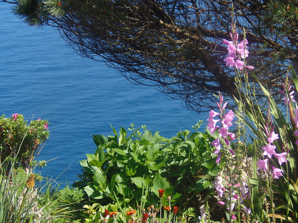 Nordeste Açores