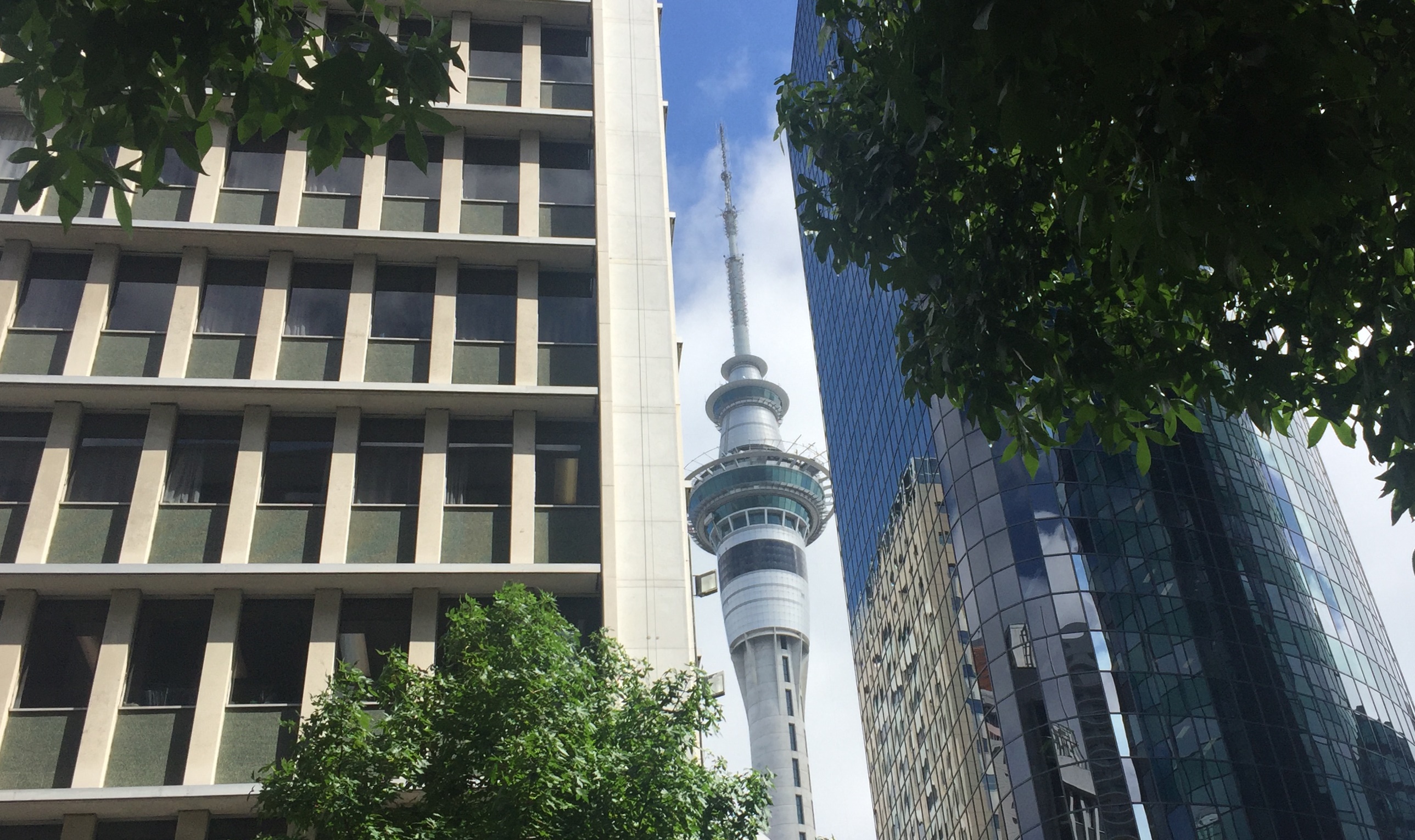 Sky Tower Sky Tower