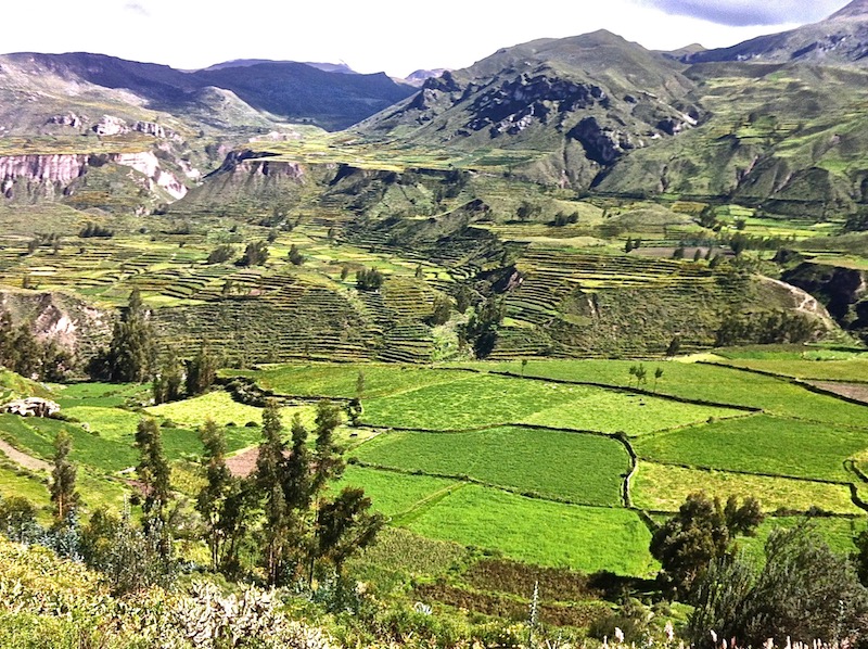En route pour le Cañon del Río Colca En route pour le Cañon del Río Colca