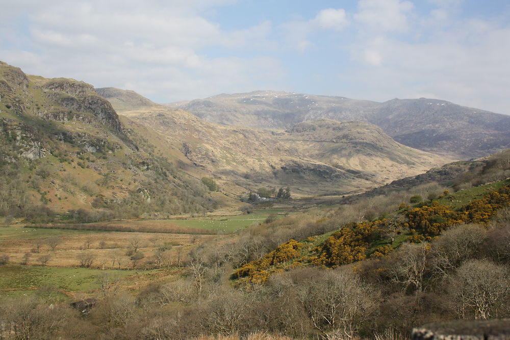 Magnifique paysage du Snowdonia Park