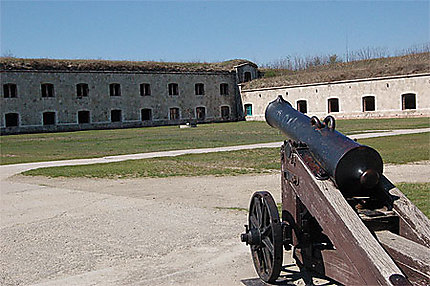 Canon et forteresse