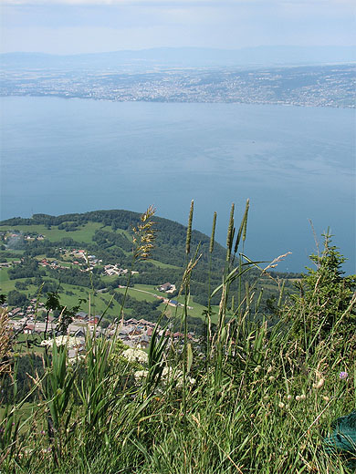 Vue sur le Lac Leman Vue sur le Lac Leman