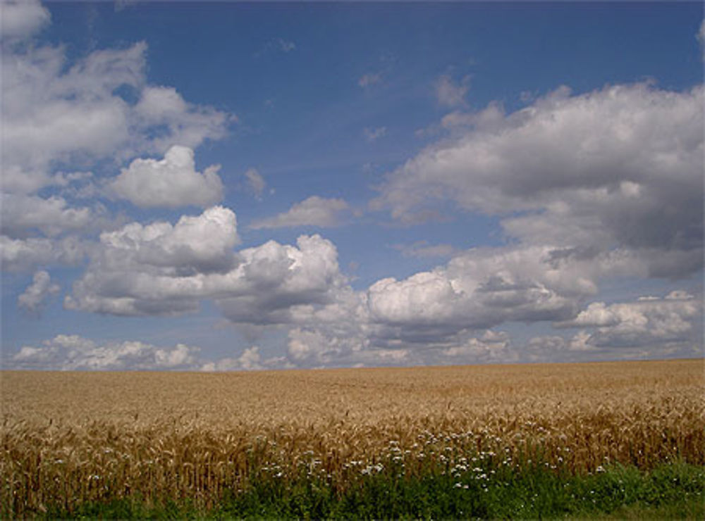 Chemin des Dames