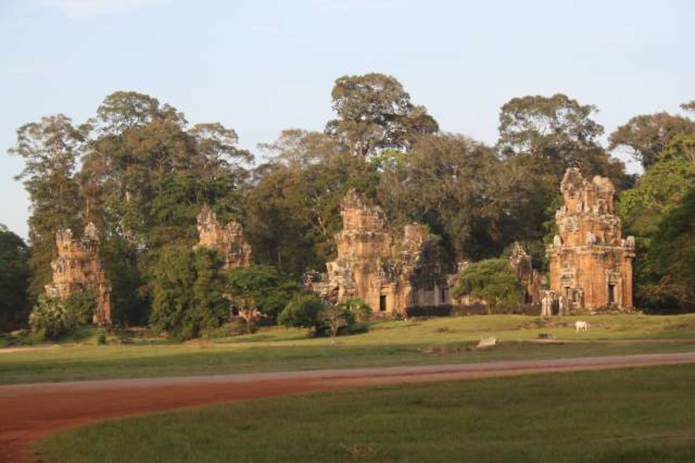 Terrasse des éléphants