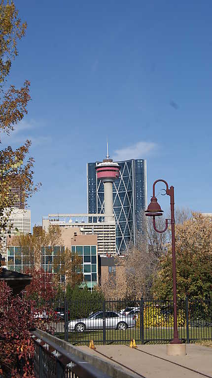 Vue sur la Calgary Tower 