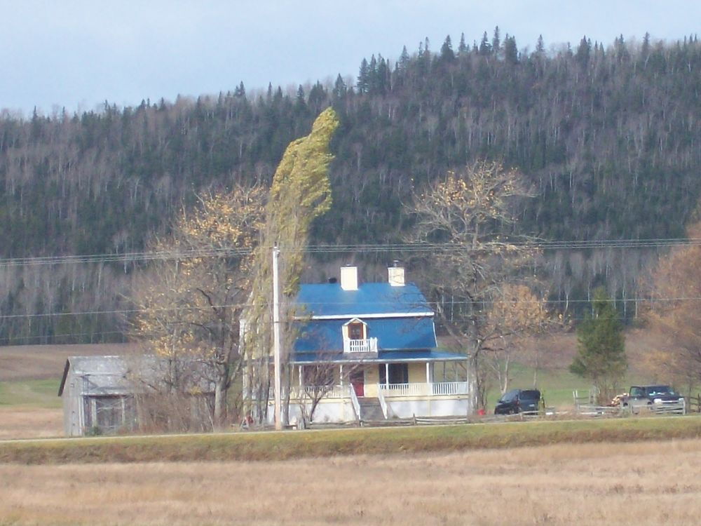 Belle maison de St-Fabien