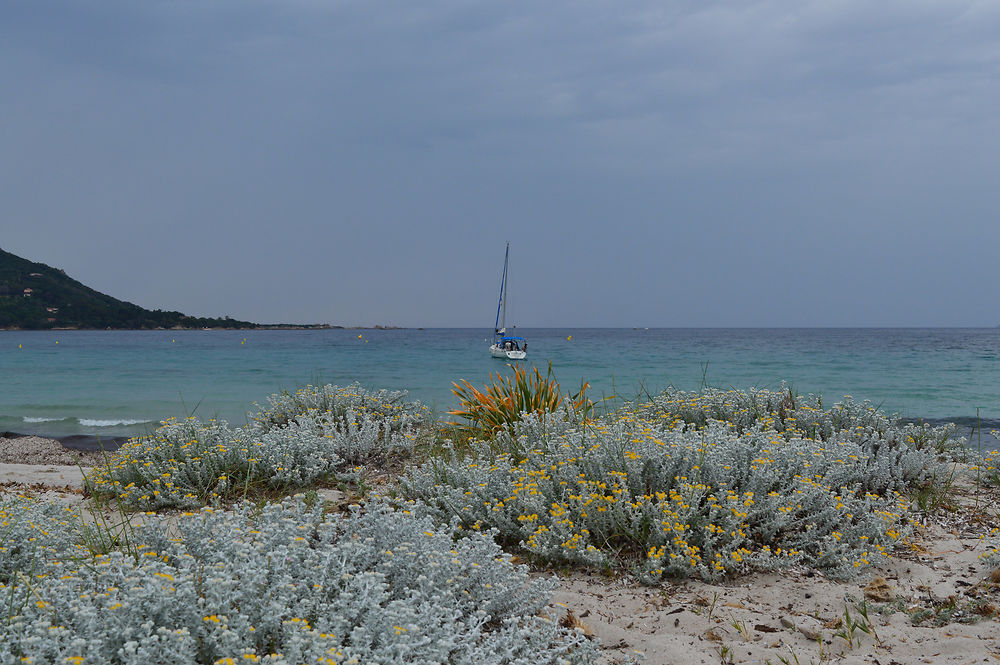 La plage d'Argent