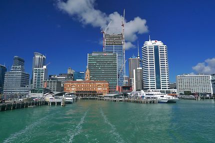 Baie d'Auckland
