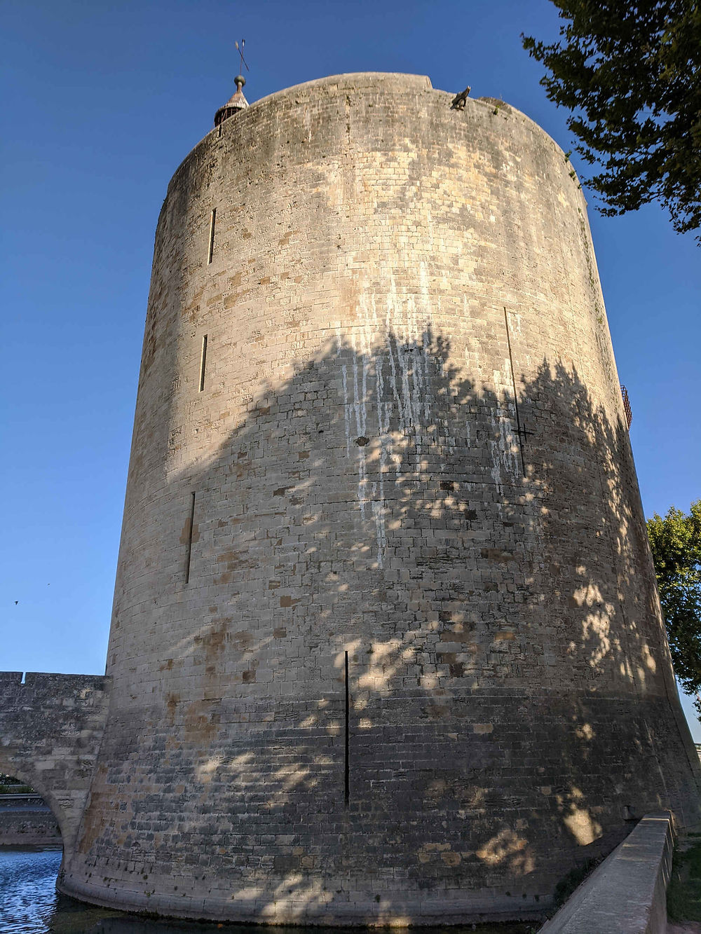 Tour Constance sous un ciel azur 