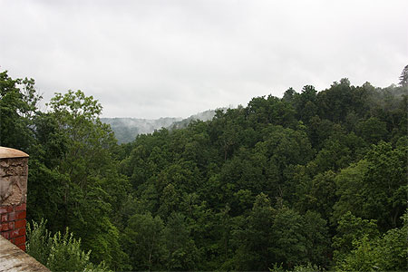 Forêt entourant le château Forêt entourant le château