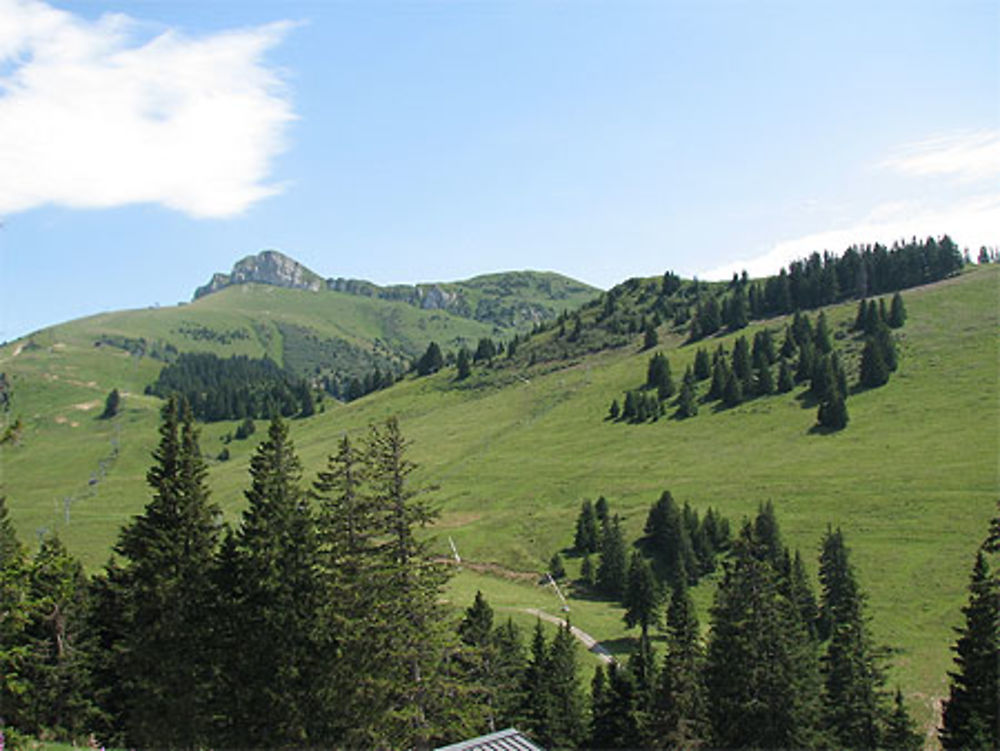 Panorama sur Thollon les Mémises