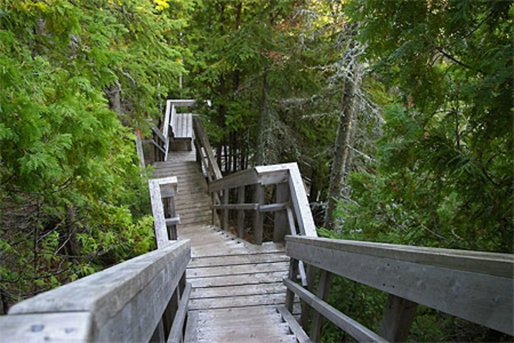 Escalier de bois