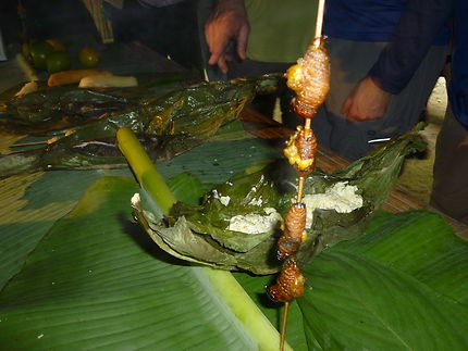 Dégustation de chenilles grillées en Amazonie 