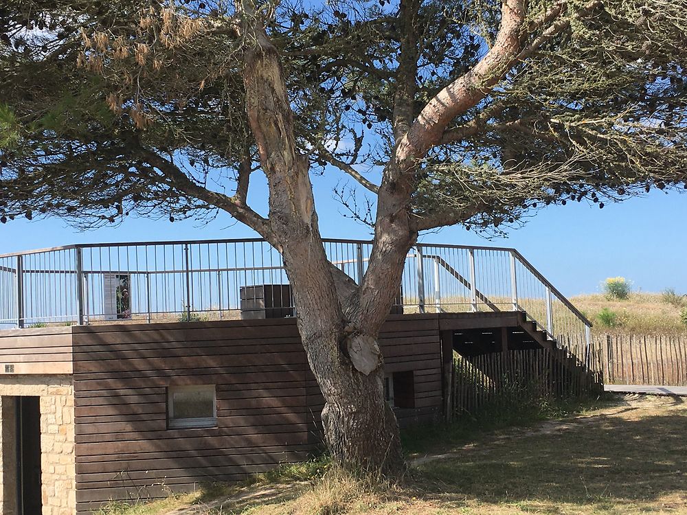 Observatoire Émile Rocher, à Carnac