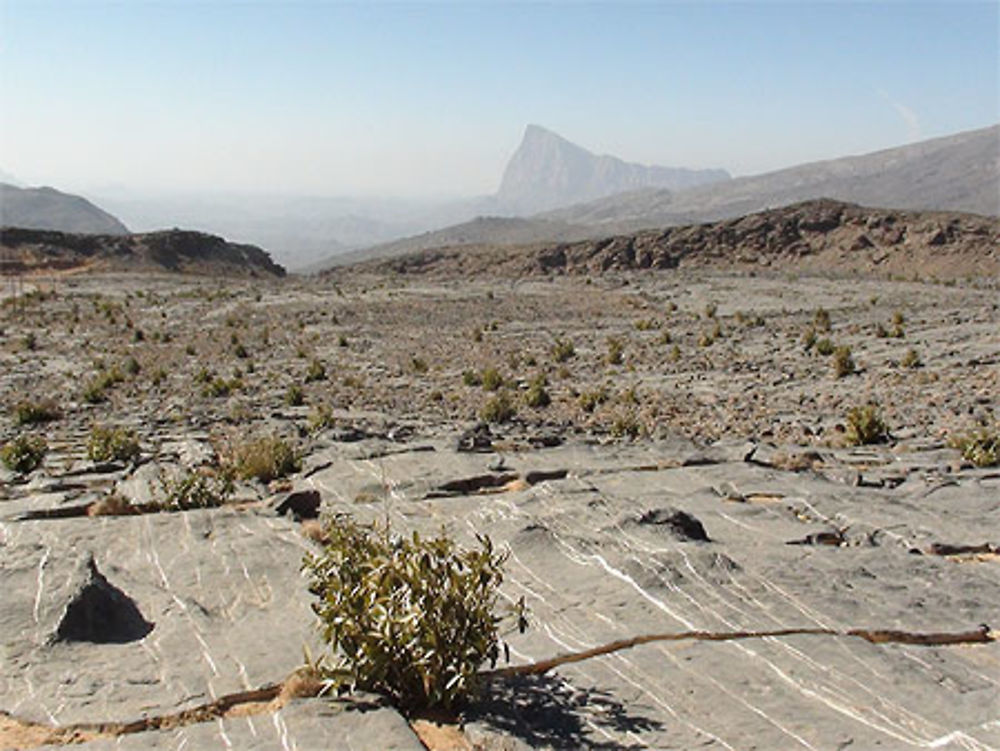 En montant au Djebel Shams