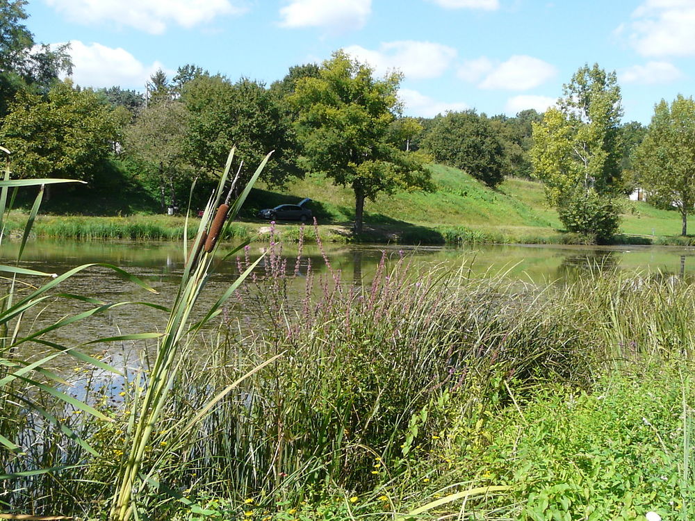 Etang des 3 Merlettes