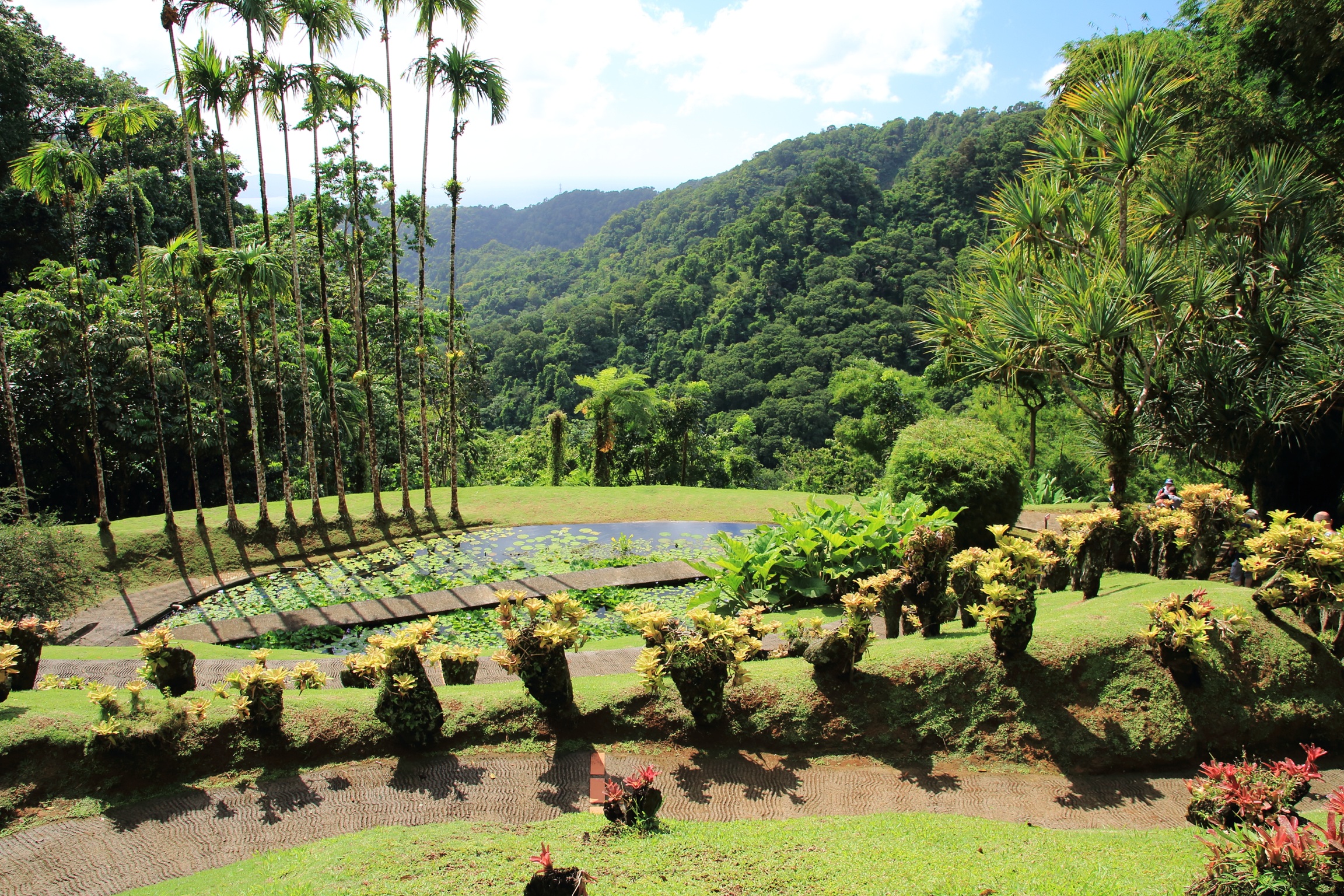 Jardin De Balata Jardin De Balata Fort De France Martinique 7375