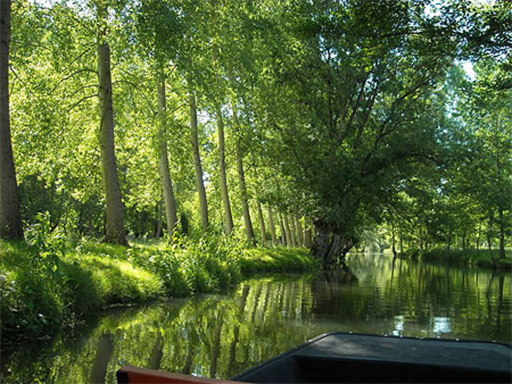 Le marais poitevin