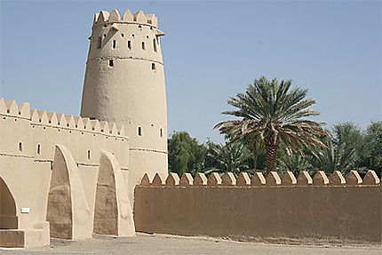Superbe fort Al Jahili