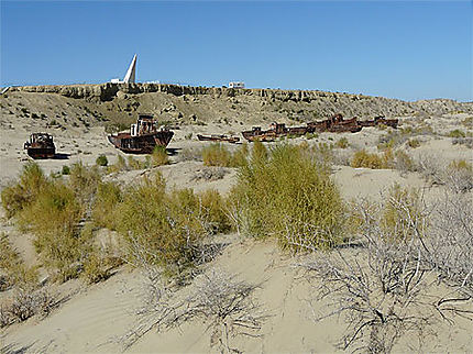 Désastre écologique de la mer d'Aral