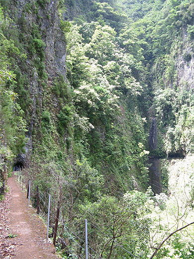 Levada de Ribeira da Janela Levada de Ribeira da Janela