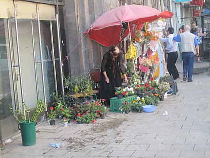 Fleuriste des rues