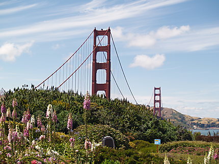 Golden Gate Bridge en fleur