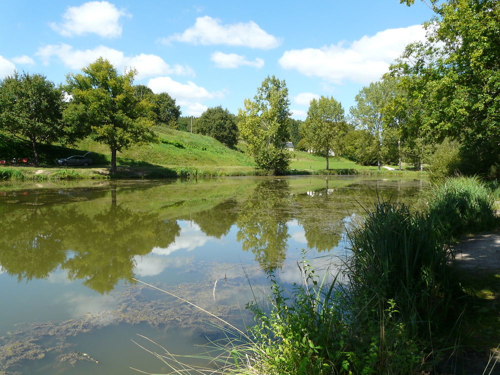 Reflets à l'Etang des 3 Merlettes