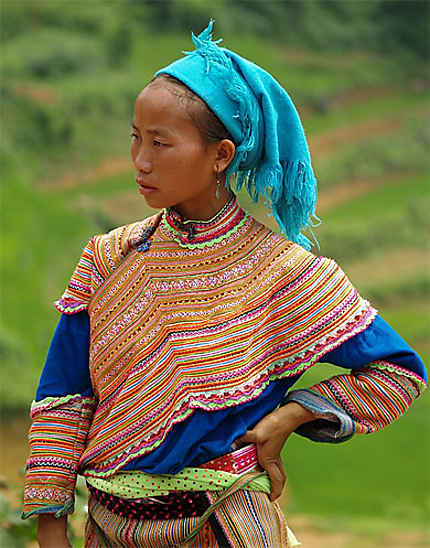 Hmong fleur