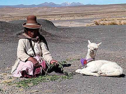Vieille femme et son bébé lama