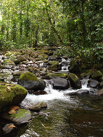 Rivière de cailloux Rivière de cailloux