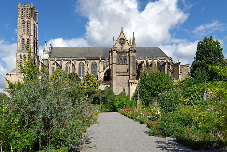 Quartier de la Cité : cathédrale Saint-Étienne, jardins de l’Évêché et musée des Beaux-Arts