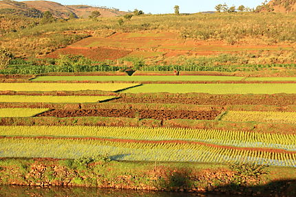 Paysage : Antsirabe : Province d'Antananarivo : Madagascar : Routard.com