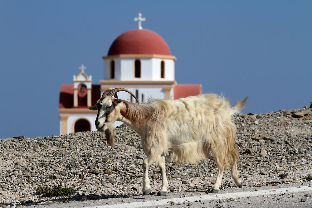 Sur la route d'Olympos