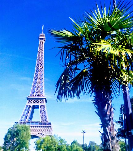 Paris insolite : la Tour Eiffel