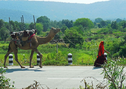 Sur la route du Rajasthan, désert du Thar