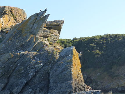 Pointés acérées des rochers de l’Ile de Groix