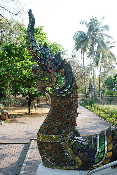 Dragon Dragon