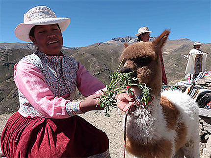 Jolie péruvienne et bébé lama 