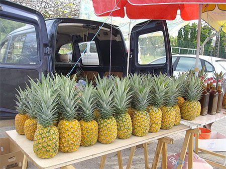 Marché à Tartane Marché à Tartane