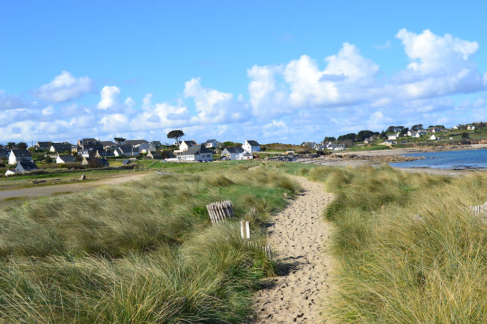 Le sillon de Talbert