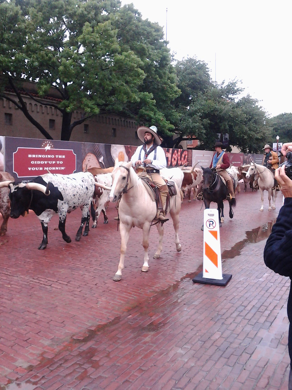 Longhorn, Fort Worth