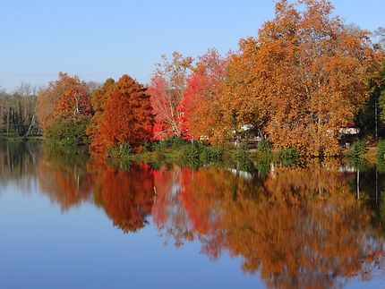 Couleurs d'automne au lac Marion