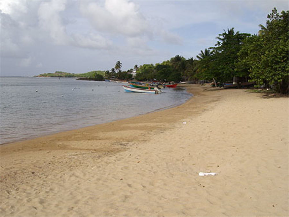 Baie de Tartane