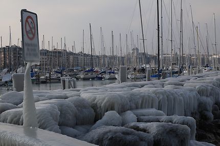Port de Genève sous la glace