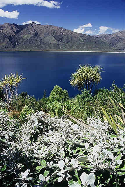 Lake Hawea dans la région de Wanaka
