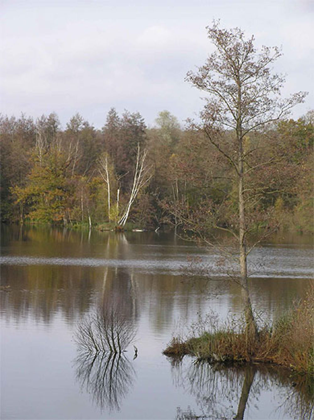 Marais de Fontenay le Vicomte